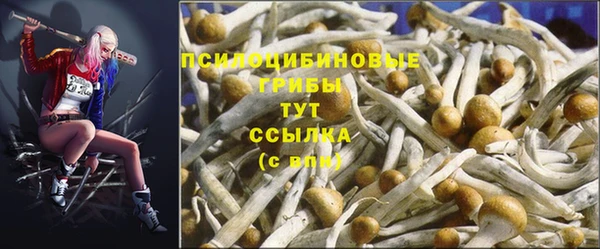 mix Аркадак