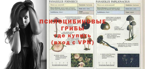 mix Аркадак
